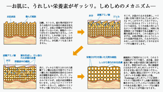 しめしめのメカニズム